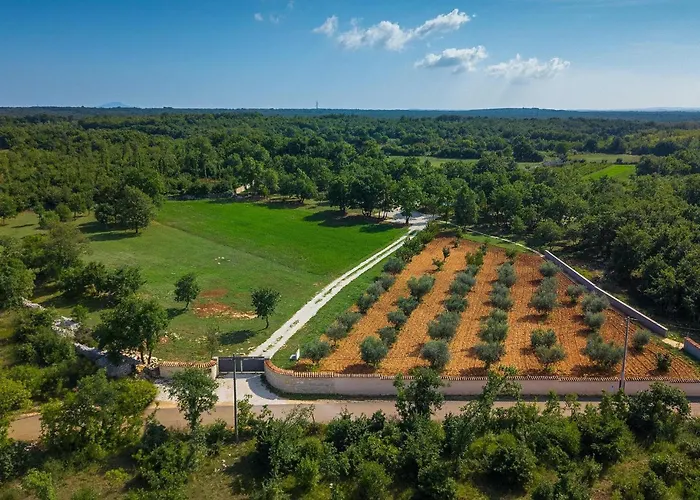 Vikendica Martinetinka *