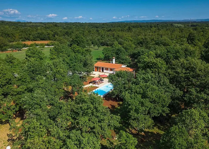 Martinetinka Vikendica *